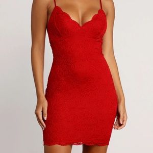 Windsor Sexy Red Lace Dress, L 10/14